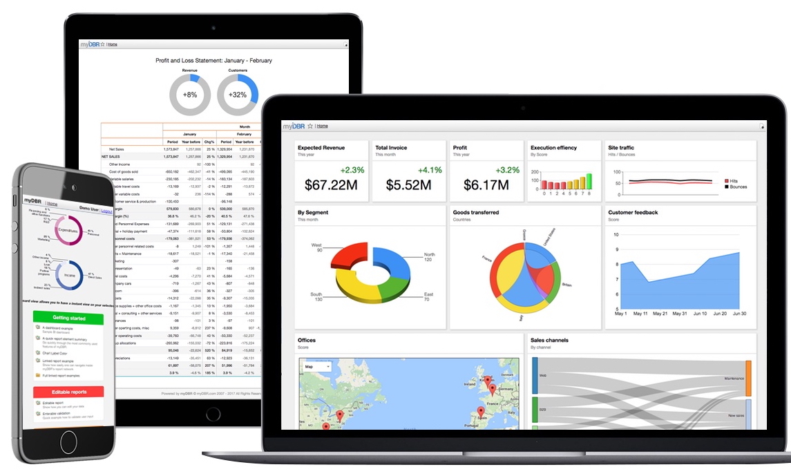 myDBR Web Reporting screen shot